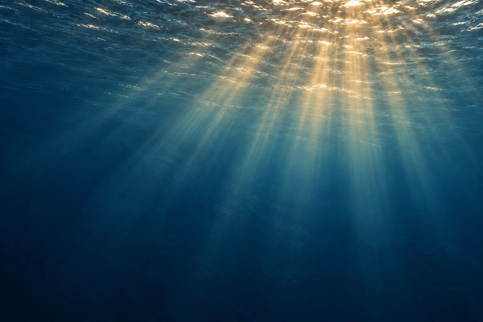 La superficie del mare vista da sotto, attraversata dai raggi